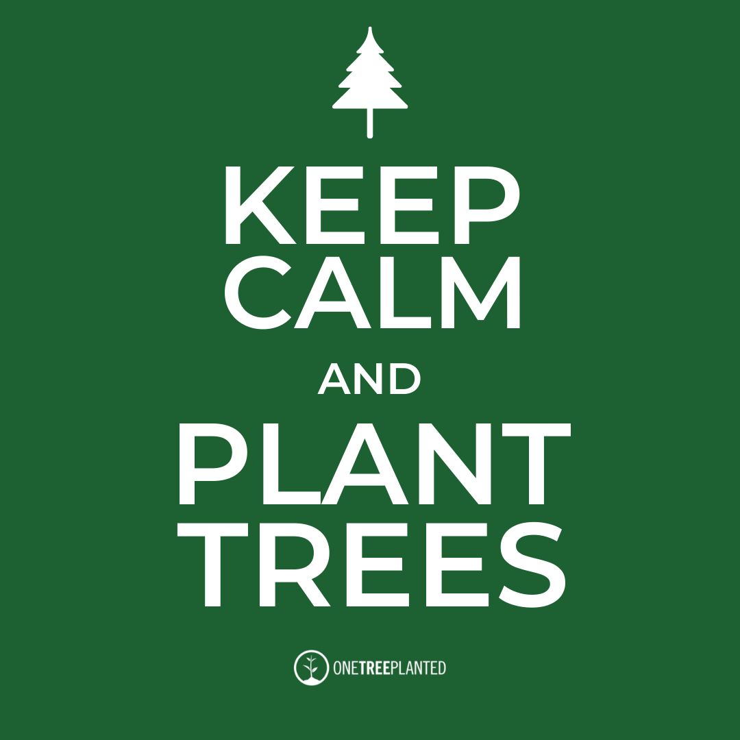 Keep Calm and Plant Trees: Lessons from the Coronavirus - One Tree ...