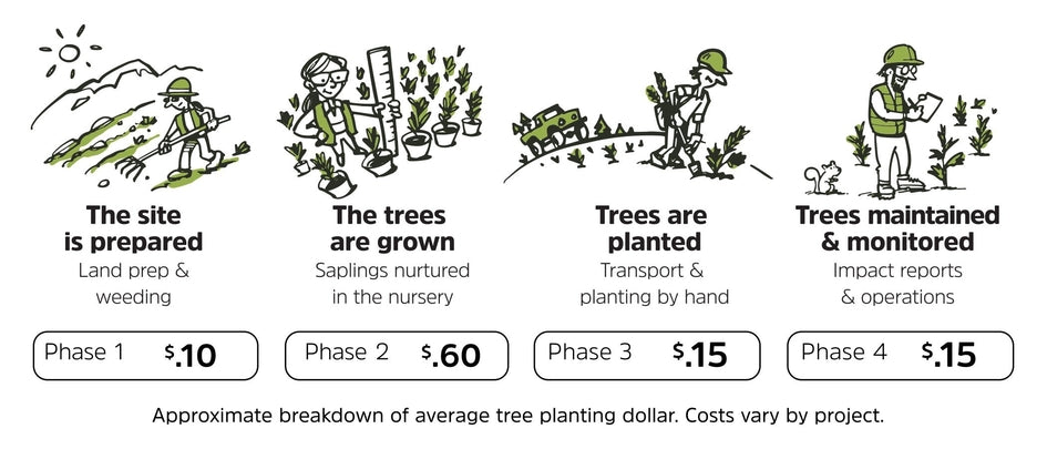 Como o trabalho de plantação de árvores