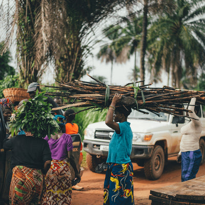 Les arbres ont un impact social