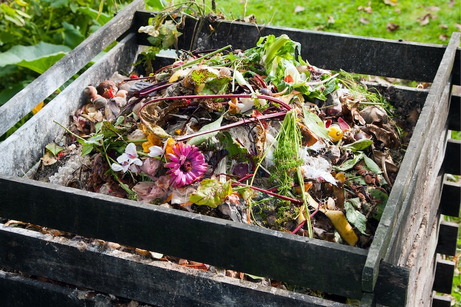 compost outdoor