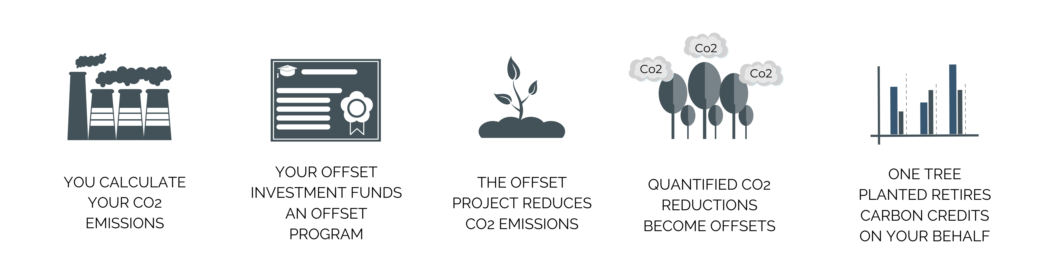 How to Offset Carbon Emissions