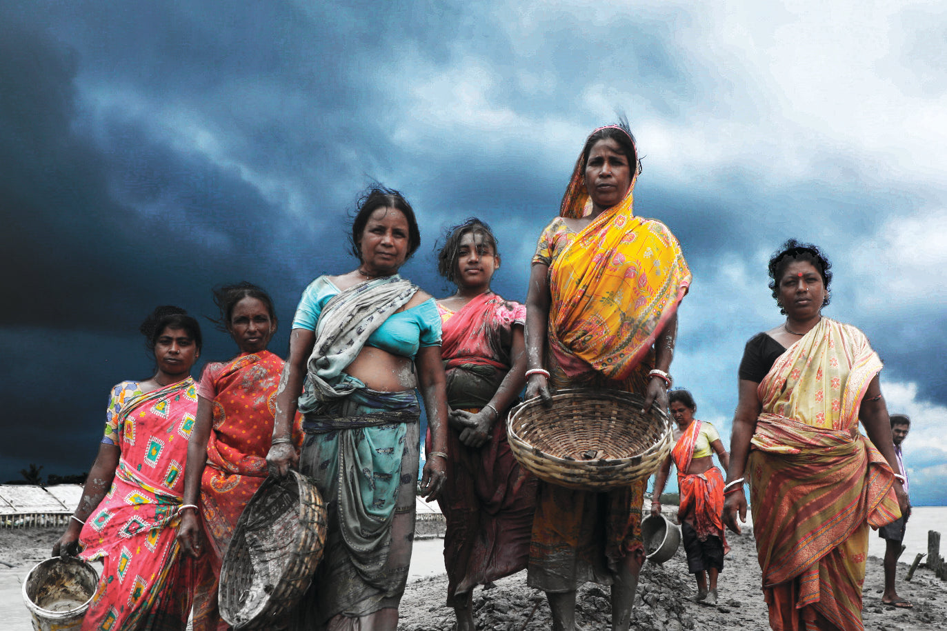 women india mangrove reforestation