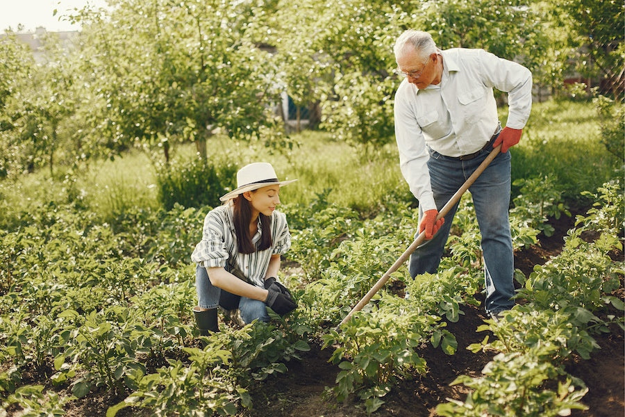 gardening 