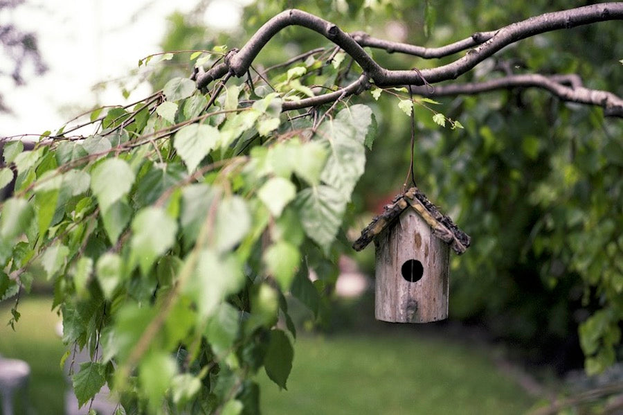 homemade bird house