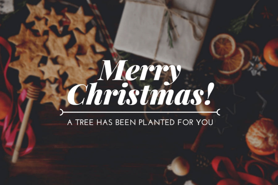 one tree planted christmas card