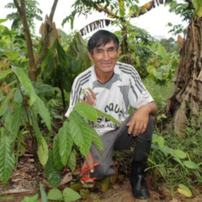 amazon forest plants