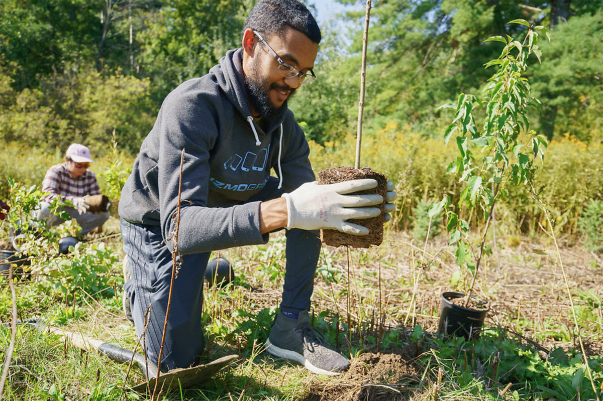 volunteer planting a tree