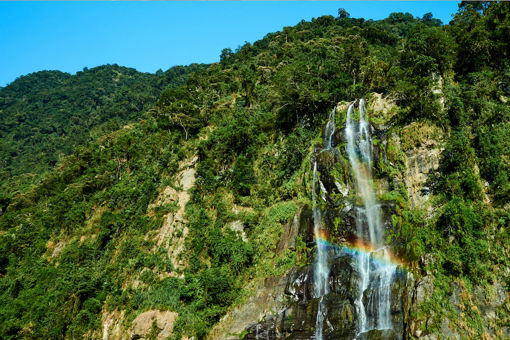 beautiful forest waterfall rainbow