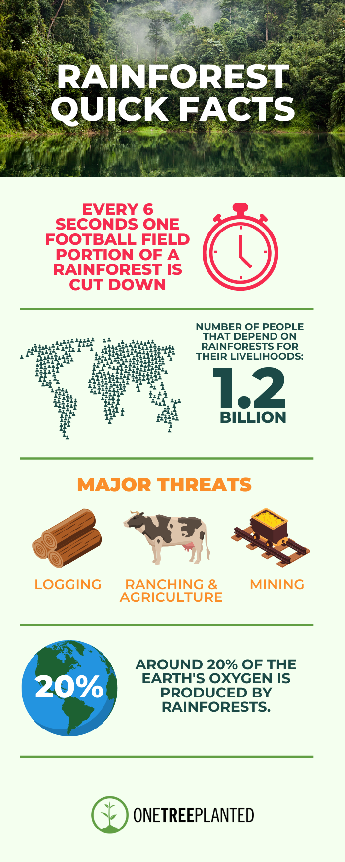 rainforest facts