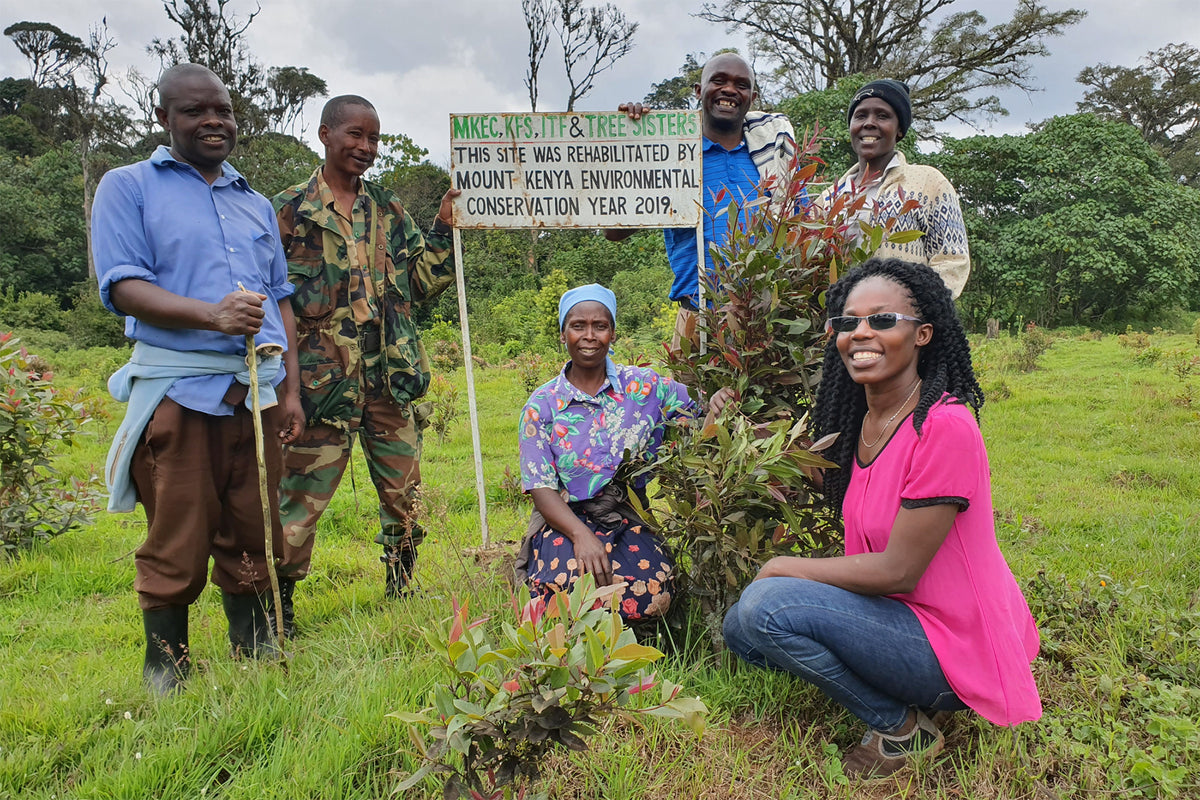 kenya reforestation