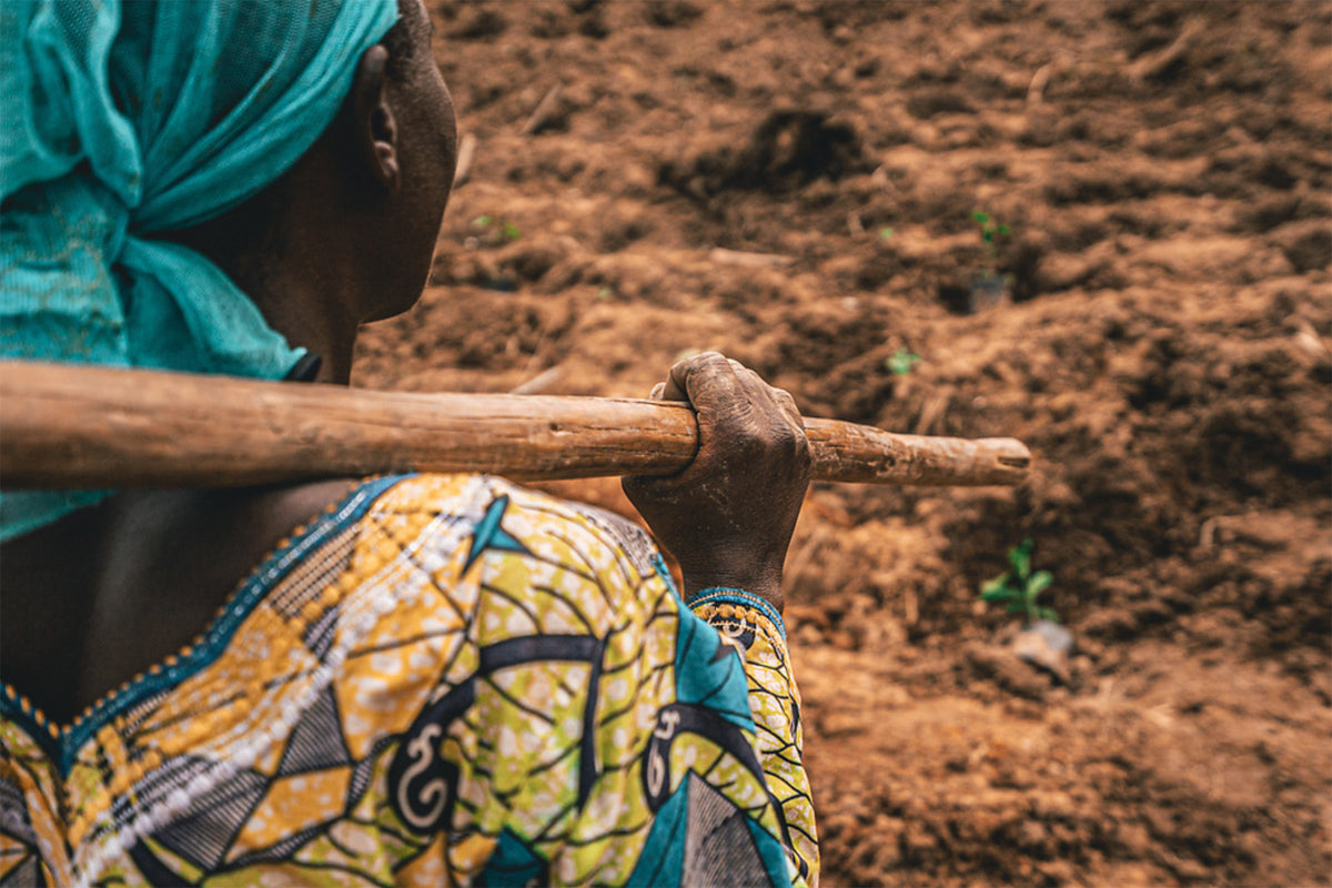 woman farmer africa reforestation