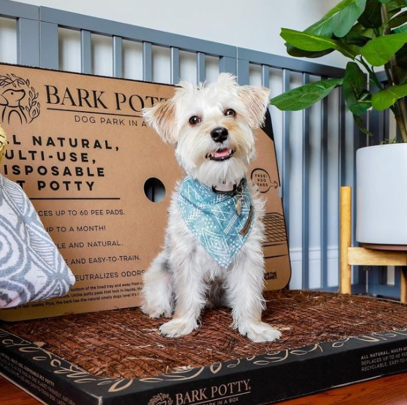 Bark Potty dog puppy pad 