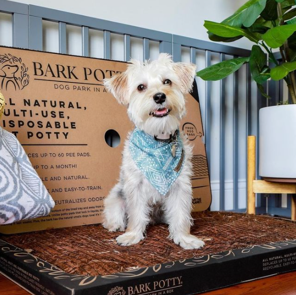 Bark Potty: All Natural Pee Pad