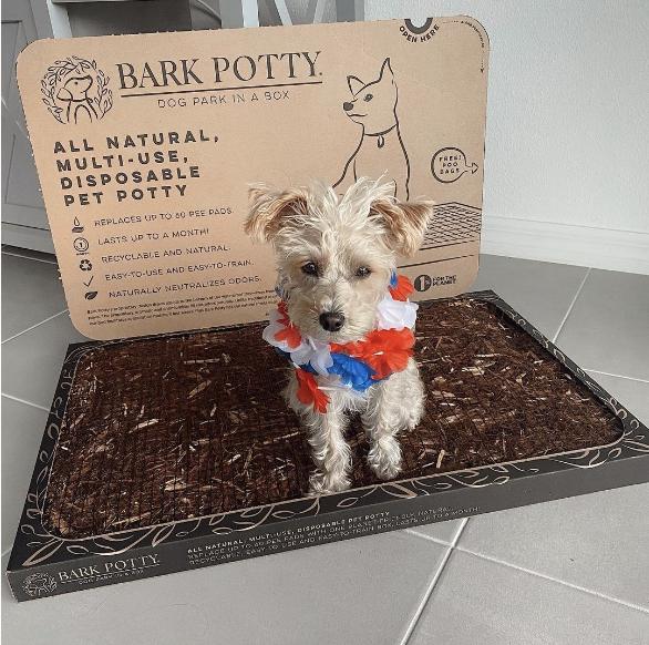 dog on bark potty mat
