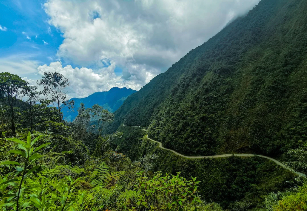 Forest in Bolivia