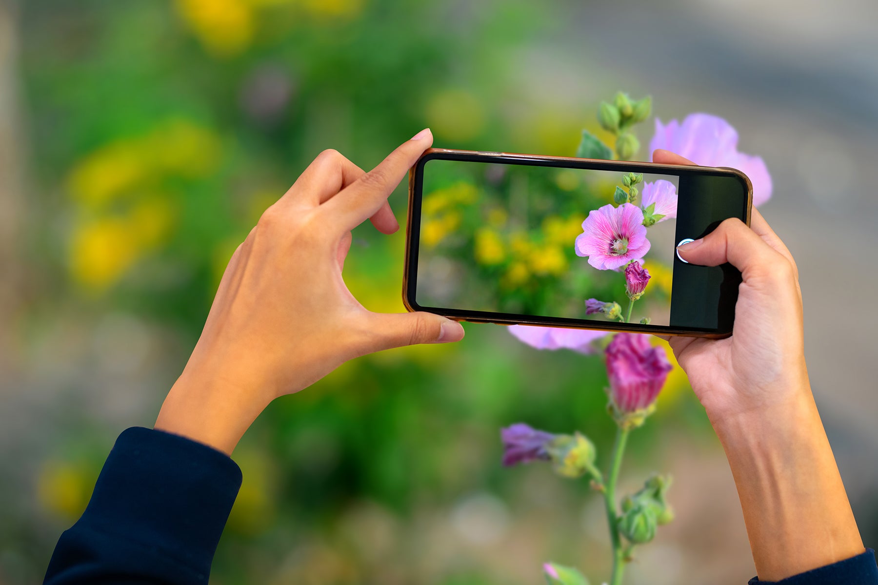 smartphone photo of flowers