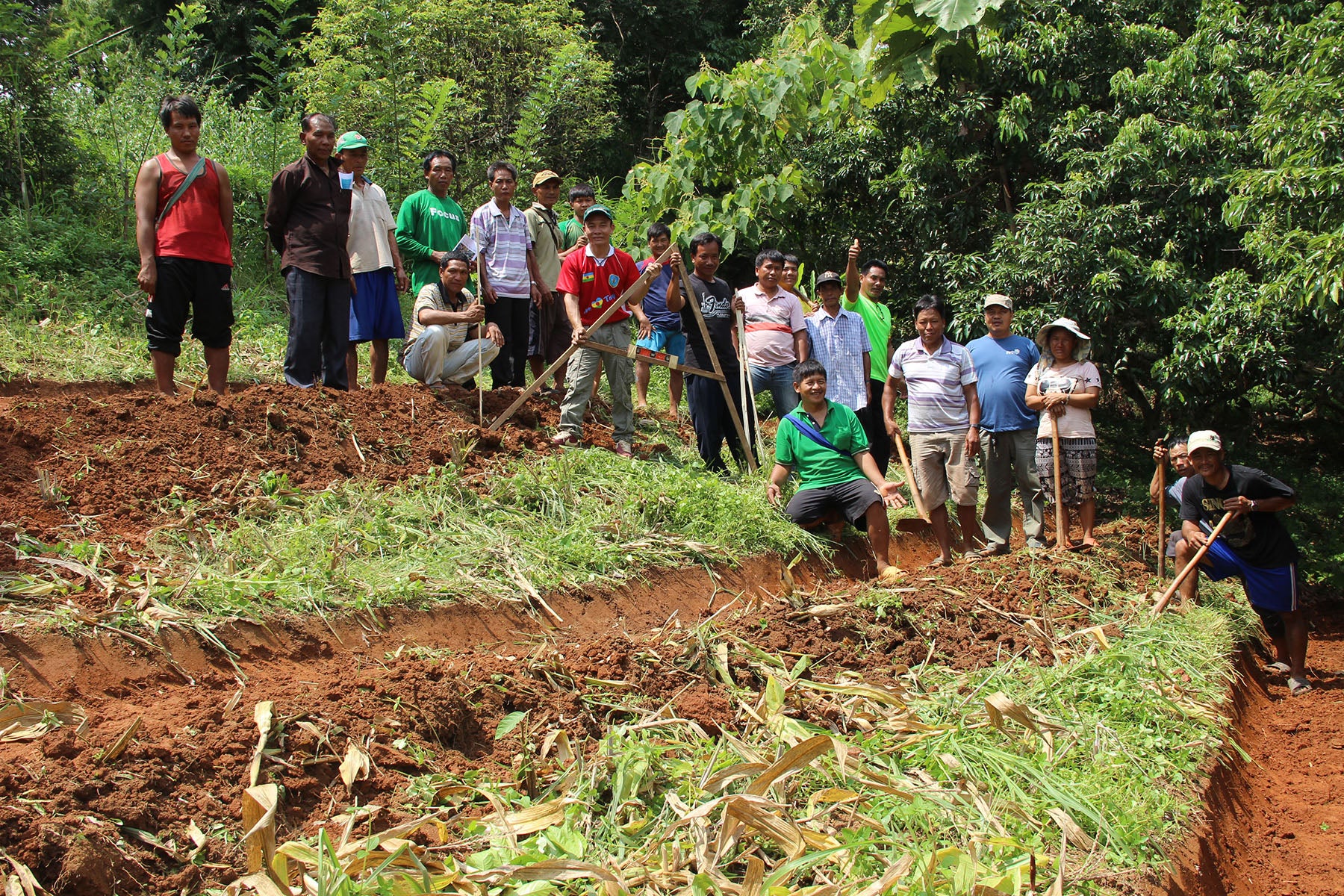 thailand hilltribes reforestation