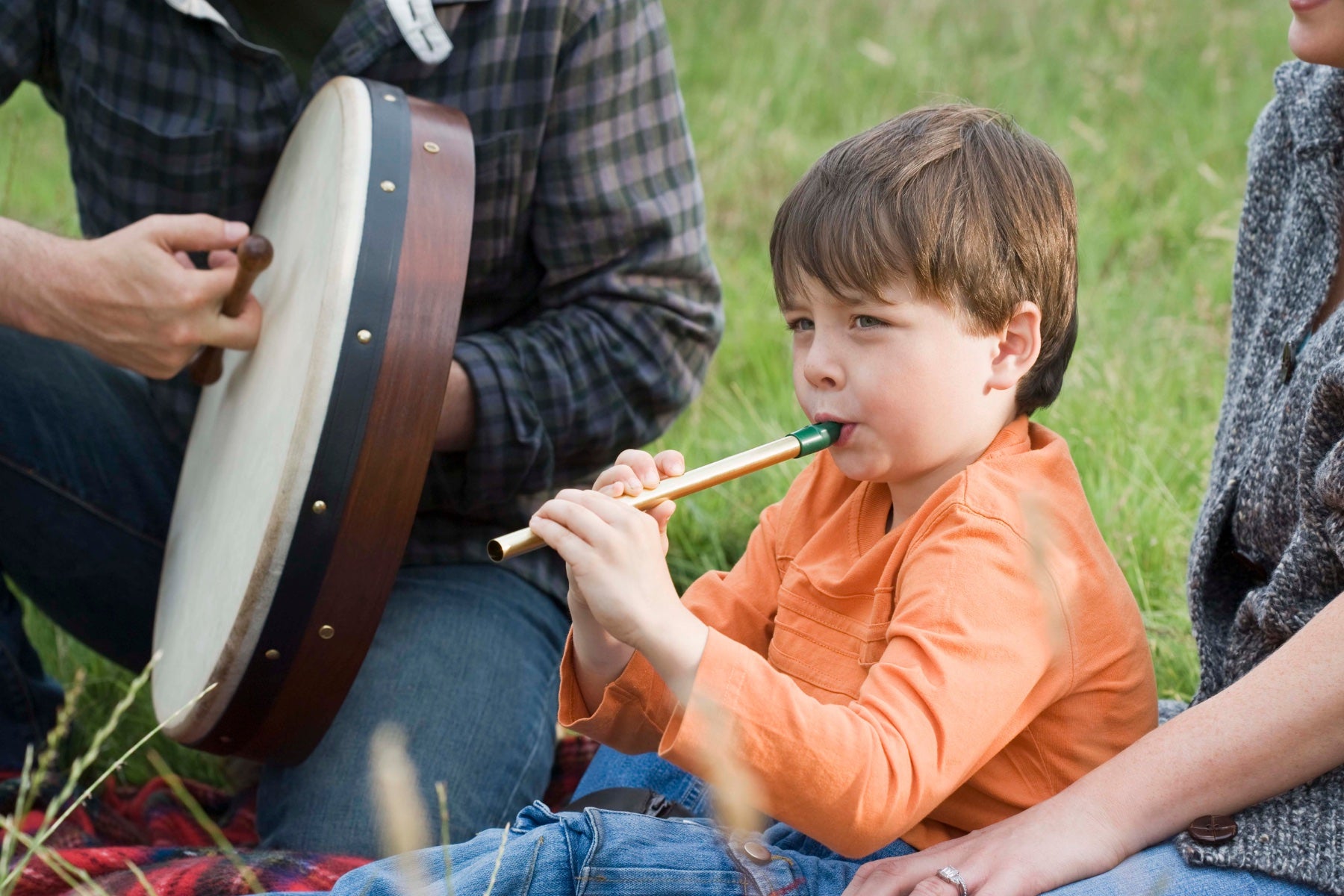 traditional irish instruments