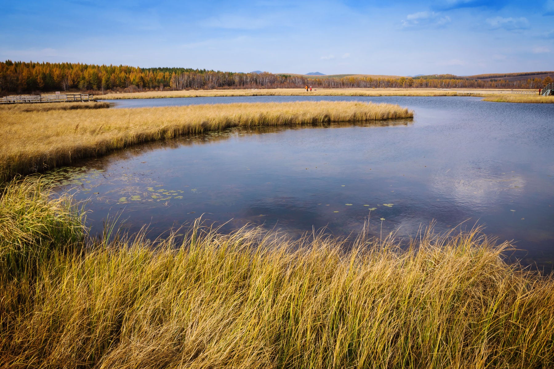 wetland erosion