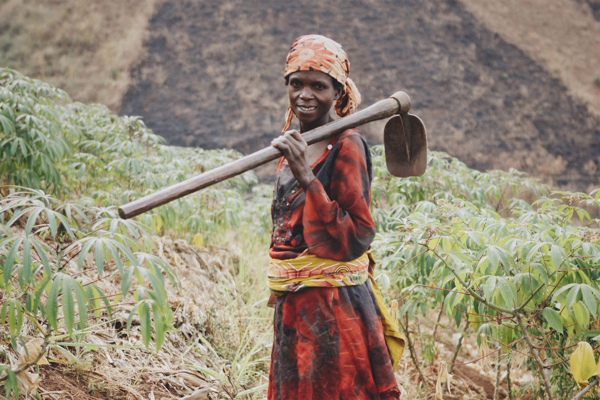 woman farmer drc reforestation