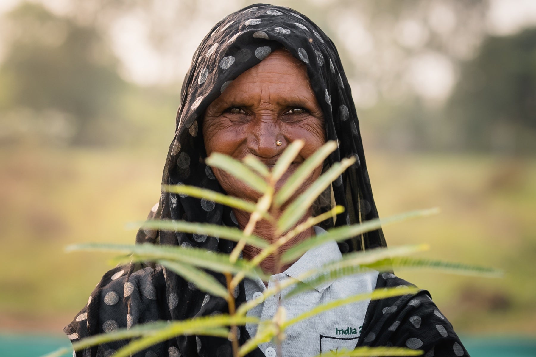 woman holding tree seedling india