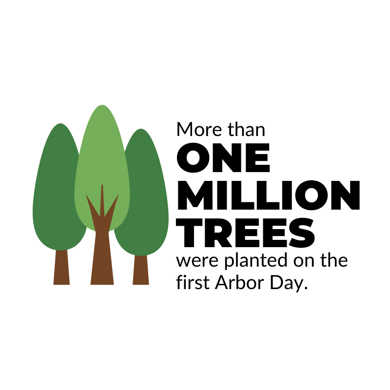 More than one million trees were planted on the first Arbor Day.