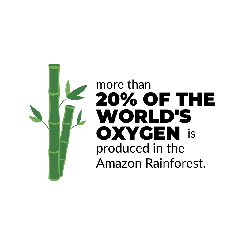 More that 20% of the world's oxygen is produced in the Amazon Rainforest.