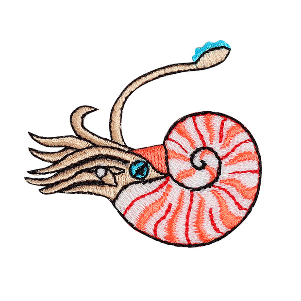 Patch／Ammonite