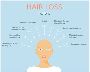 hair loss factors