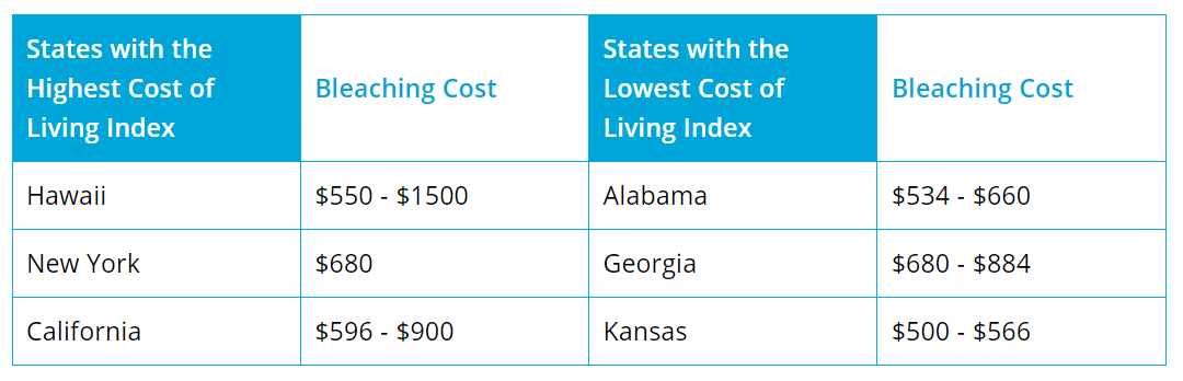 bleaching-cost-in-different-state-table