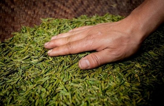 Hojas de té verde tostadas