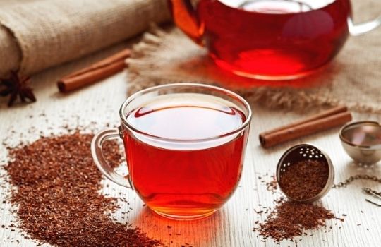 Rooibos