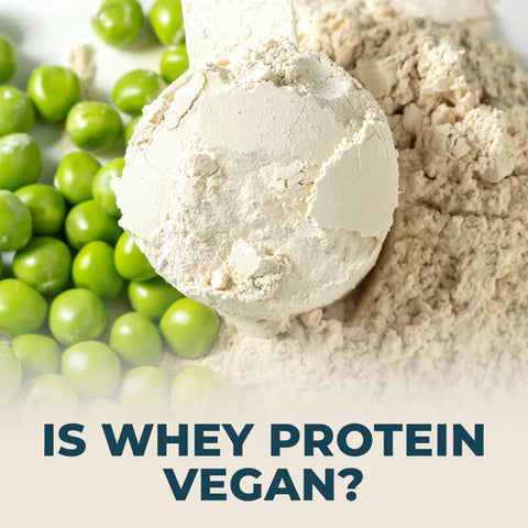 is whey protein vegan