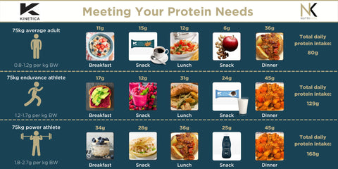 Meeting your protein needs