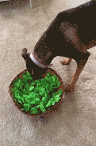 The Dual Snuffler | Interactive Dog Snuffle Mat & Bowl – A ...