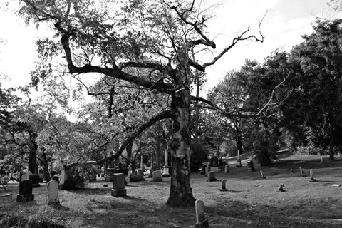 montreal cemetery