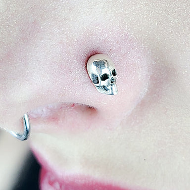 skull nose stud