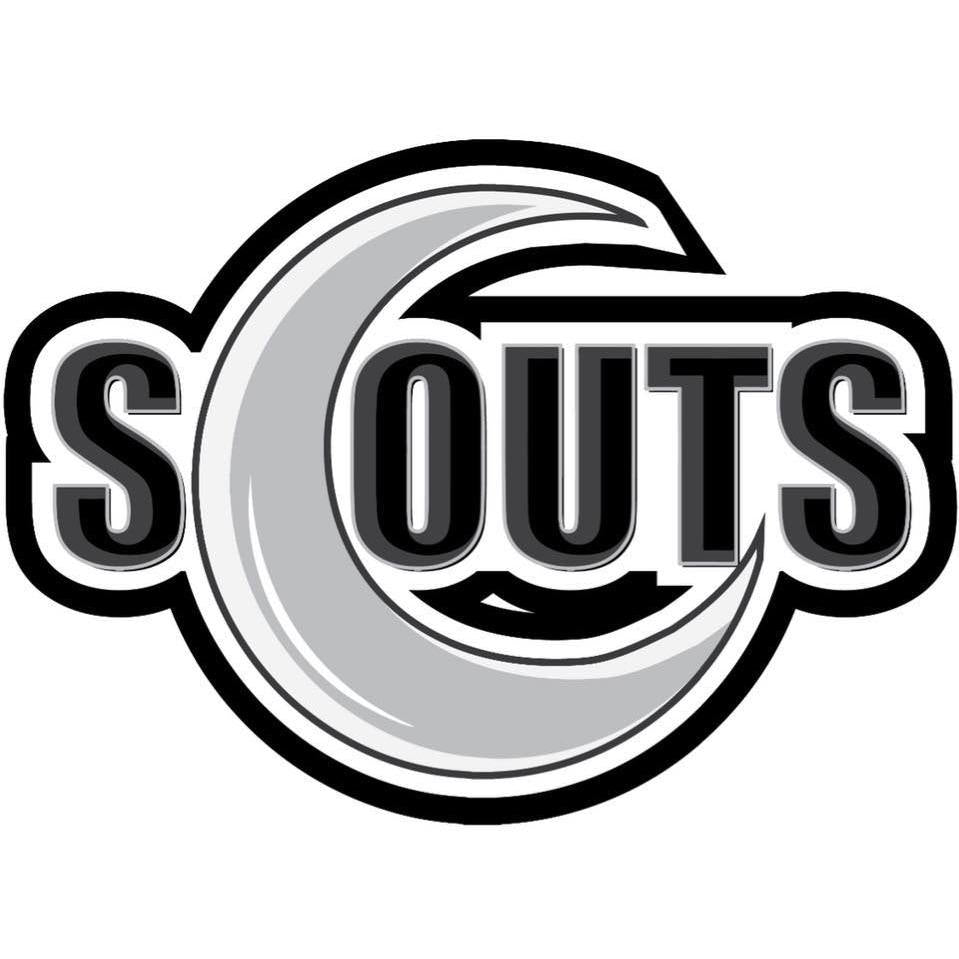 Pro Scouts Logo