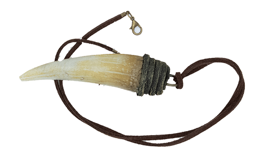 Aspen Antler Necklace – Wild Feather & Stone