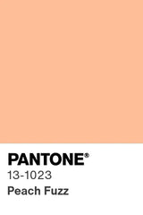 peach fuzz pantone color of the year
