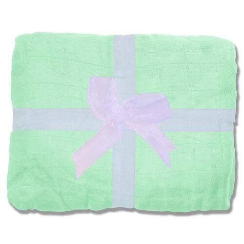 Nicki's Diapers Mint Bamboo Swaddle Blanket