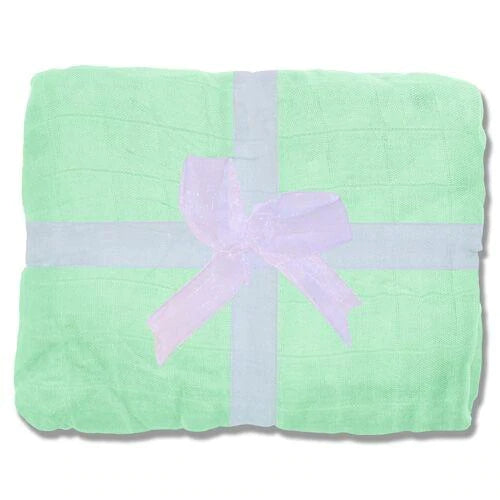 Nicki's Diapers Mint Green Bamboo Throw Blanket