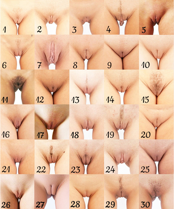 o-mural-com-diferentes-tipos-de-vaginas-vulvas-fleshlight