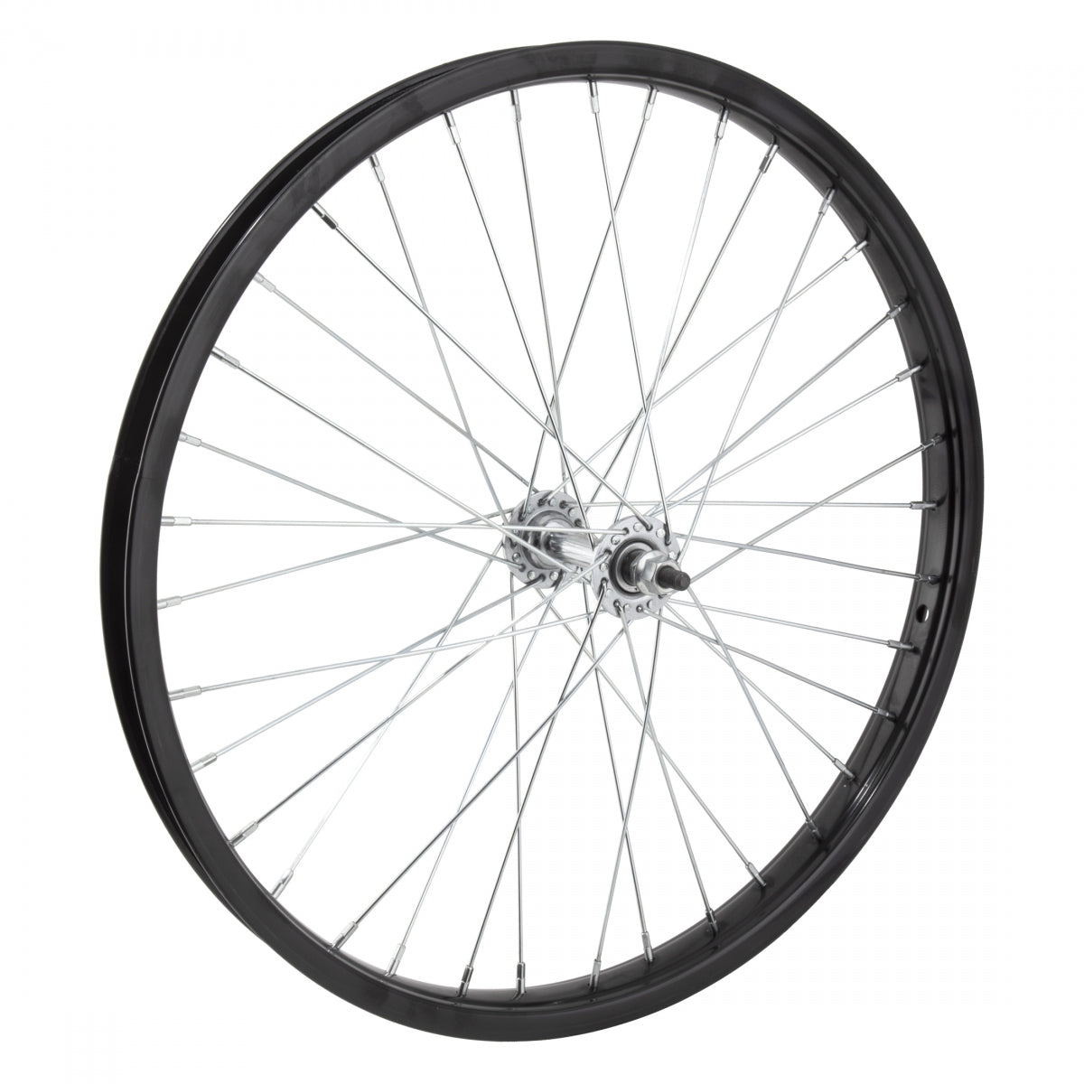 WheelMaster Front Bicycle Wheel, 20 x 1.75 36H, Steel, Bolt On