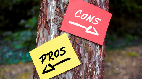 Two signs on a tree - a yellow sign pointing left that says "pros", and a red sign pointing right that says "cons"