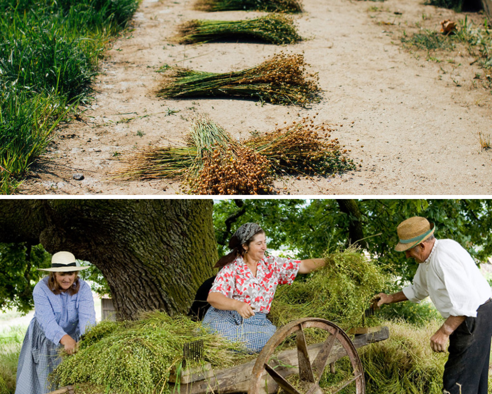 Textures of Portugal By Luz Editions