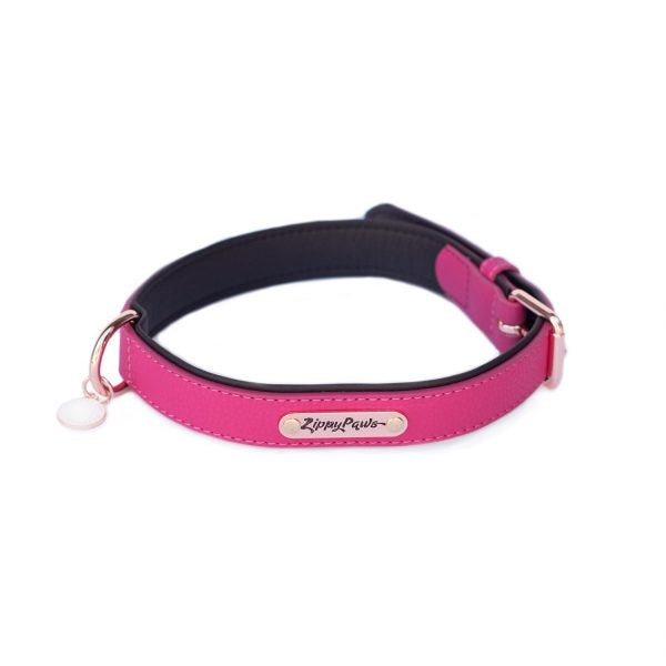 how do you deodorize a dog collar