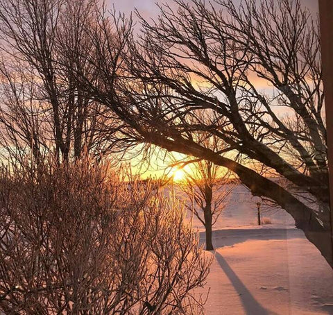 PEI Winter Sunrise 