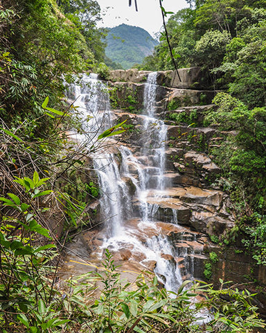 Waterfall In Tong Mu Village Original Home Of Lapsang Black Tea A UNESCO World Natural And Cultural Heritage Site