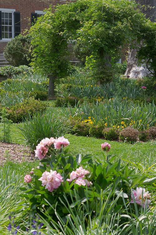 garden at Chatham Manor